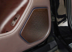 Custom Stainless Steel Speaker Cover for DENZA