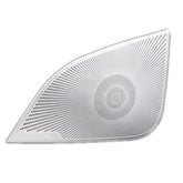 Speaker grille for Door Panel