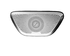 Speaker grille for door Panel