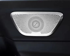 Speaker grille for door Panel