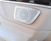 Speaker grille for door Panel